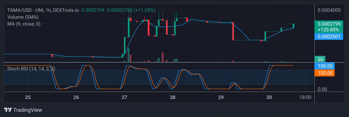 Tamadoge (TAMA) Price Outlook for August 30, 2025: TAMA/USDT Advances Towards $0.0003000