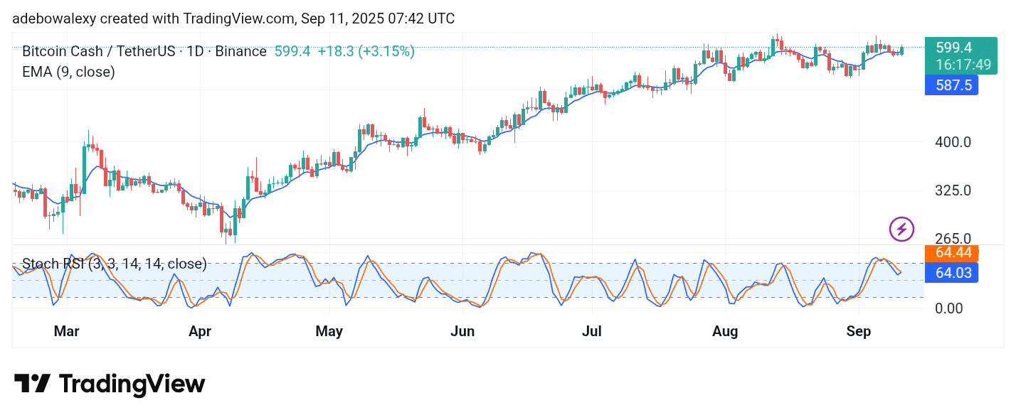 Bitcoin Cash (BCH) Bulls Are Keeping Up the Pressure
