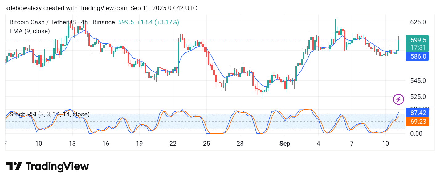 Bitcoin Cash (BCH) Bulls Are Keeping Up the Pressure