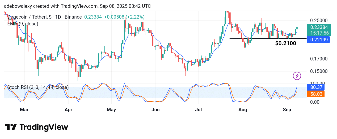 Dogecoin (DOGE) Is Reaching Higher