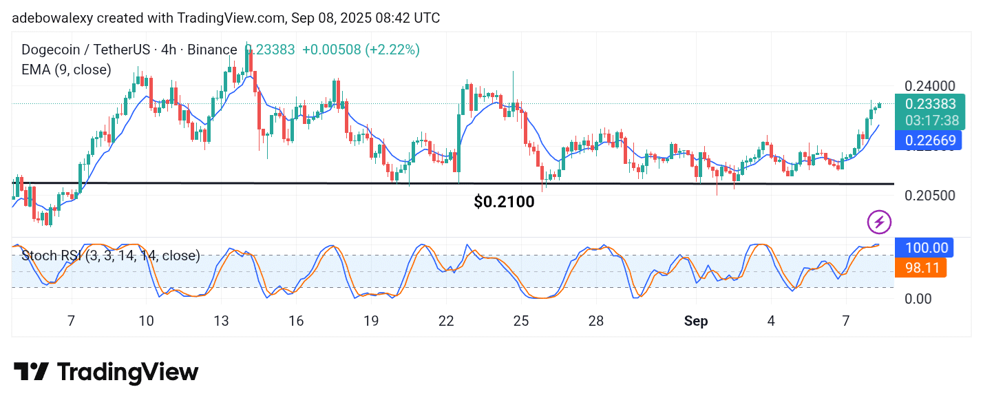 Dogecoin (DOGE) Is Reaching Higher