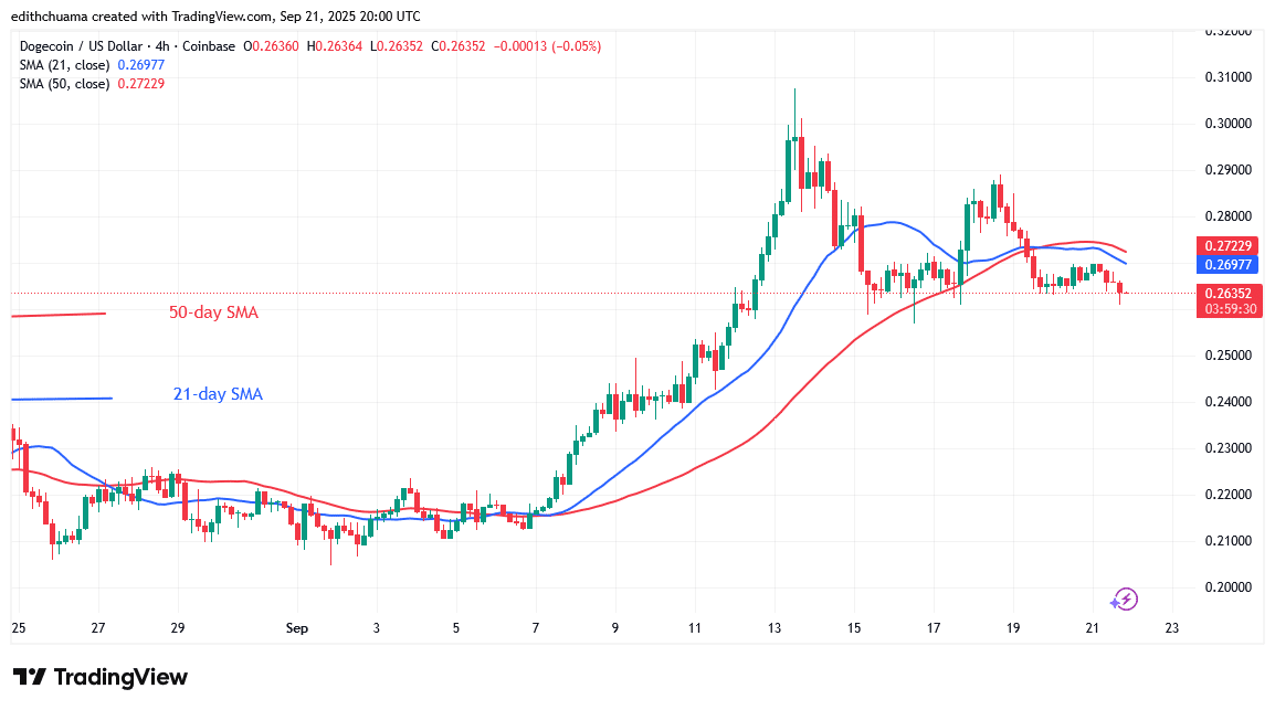DOGE Slumps as It Risks a Decline to $0.209