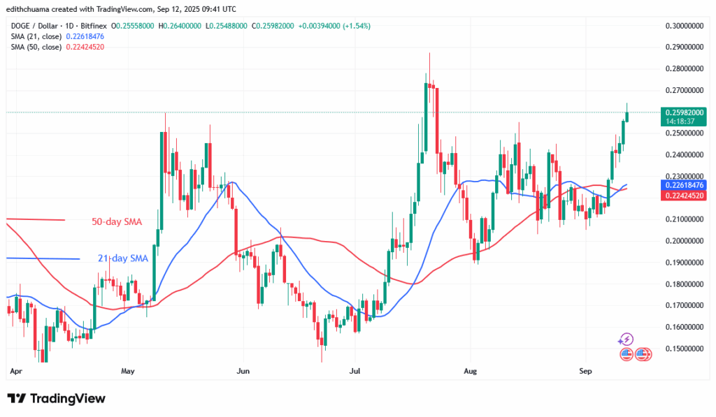 DOGE Advances but Stalls below $0.265