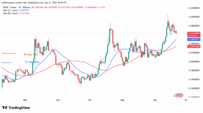 DOGE Slumps as It Risks a Decline to $0.209