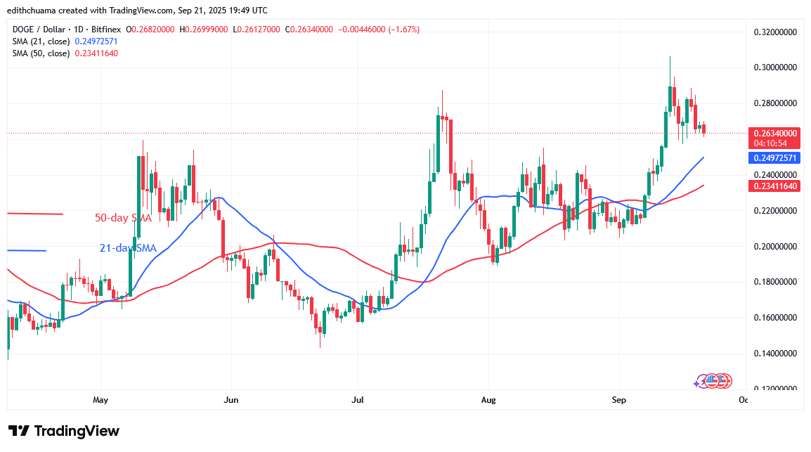 DOGE Slumps as It Risks a Decline to $0.209