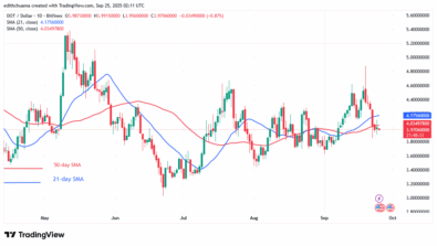 Polkadot Dips and Finds Support above .80