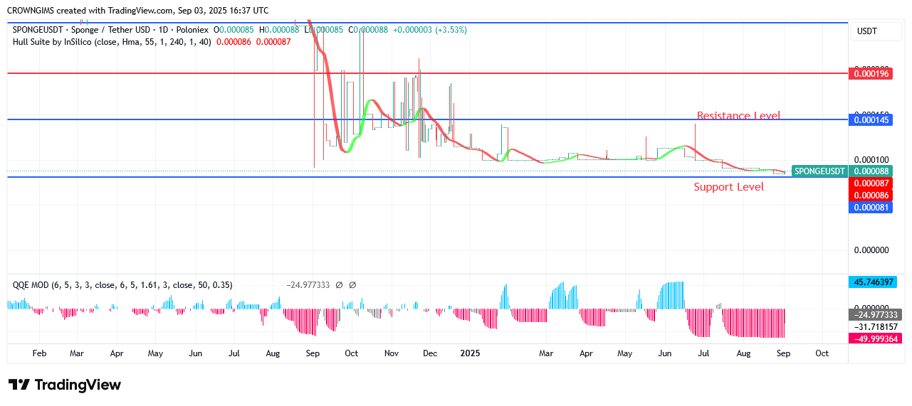 SPONGEUSDT Market: Bullish Movement Is Getting Stronger