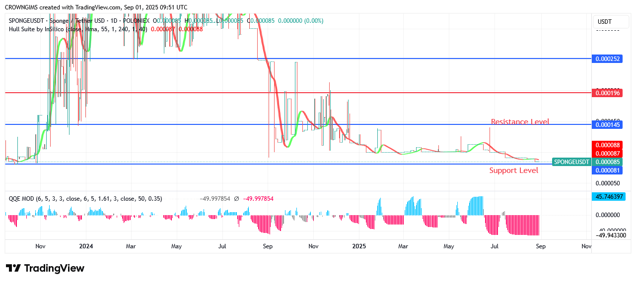 SPONGEUSDT Market on Strong Bullish Movement