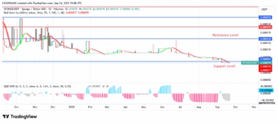 SPONGEUSDT Price Is Drawing In More Customers