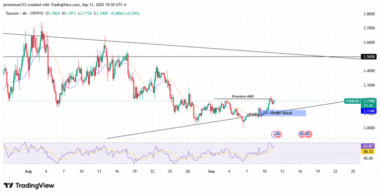‎TONCOIN Eyes Potential Bullish Reversal Amid Symmetrical Triangle Formation