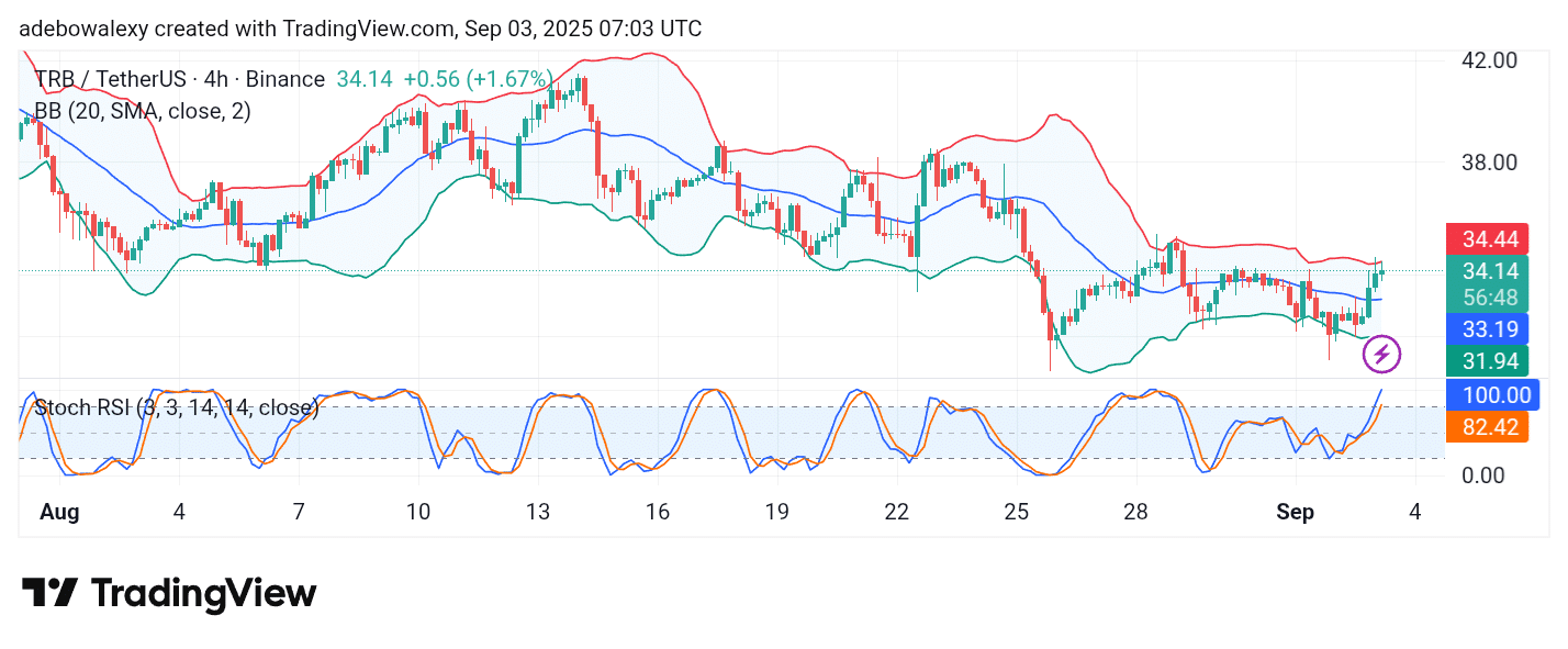 Tellor (TRB) Minimal Gains Keep Bullish Sentiment Intact