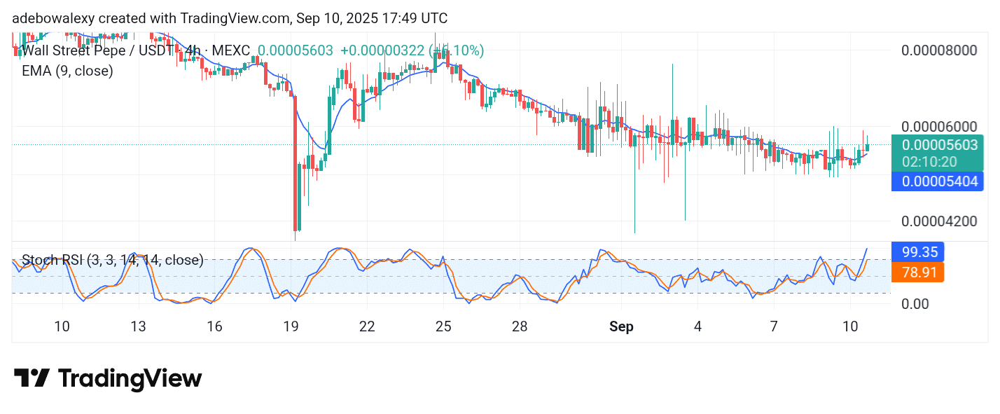 Wall Street Pepe Price Prediction for September 10: WEPE Races Toward $0.00006000