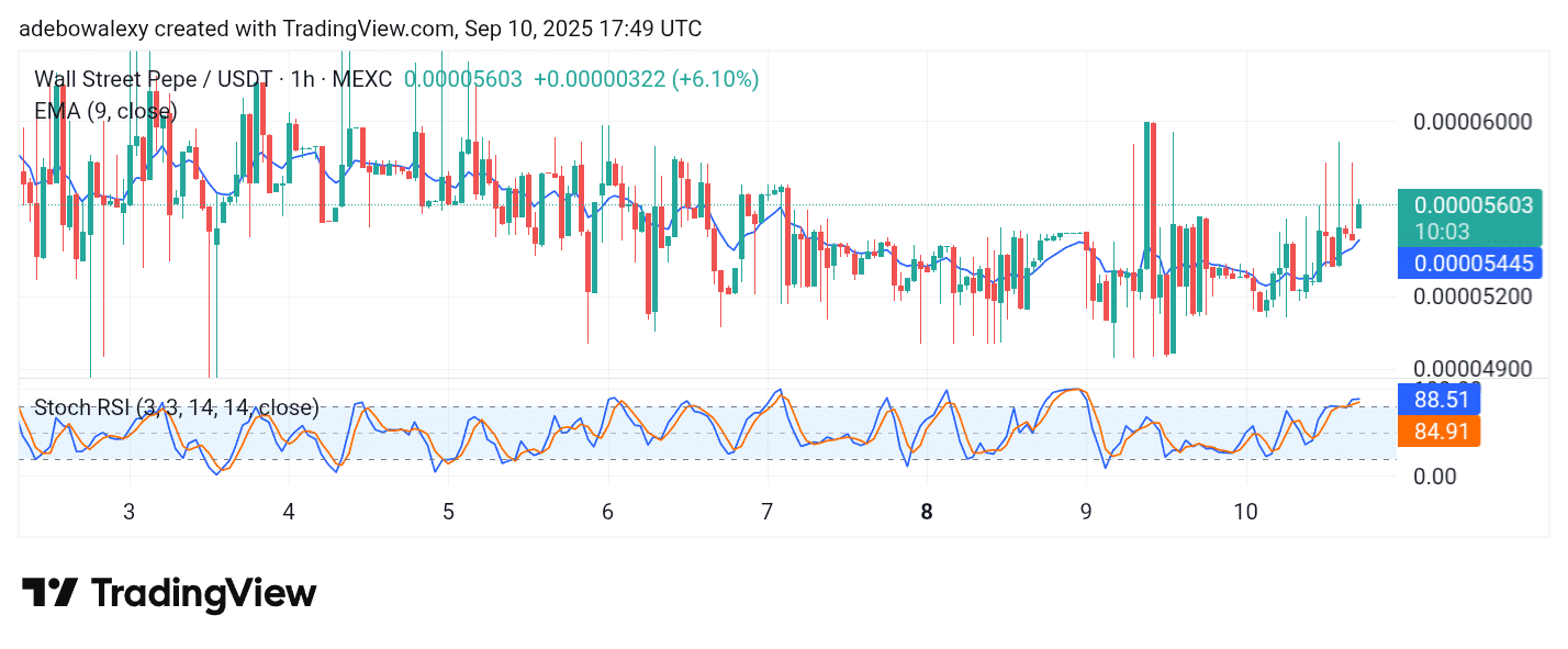 Wall Street Pepe Price Prediction for September 10: WEPE Races Toward $0.00006000