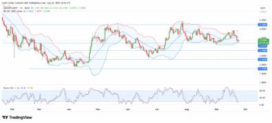 SUI Price Finds Strong Support As Buyers Seek Attention