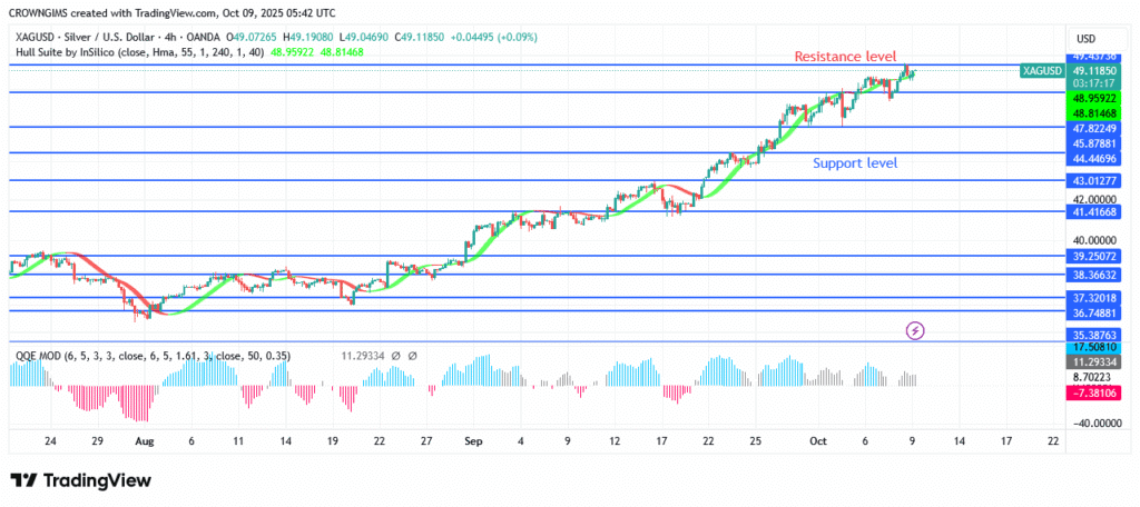 Silver Price Make a New High at $49