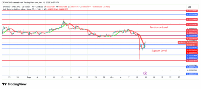 Shiba Inu (SHIB) Price Declines Sharply