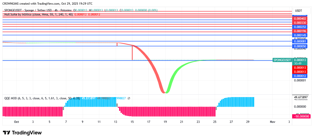Sponge Price: Purchasers Are More Excited