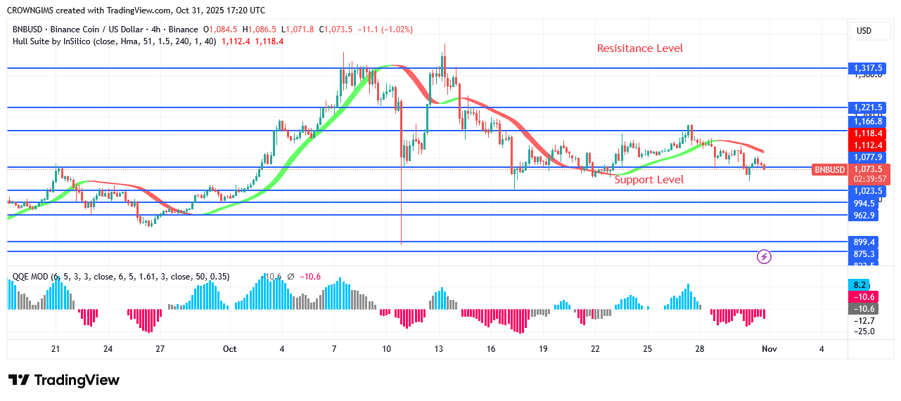 BNB (BNBUSD) Price Mya Retest Previous Low at 23.5