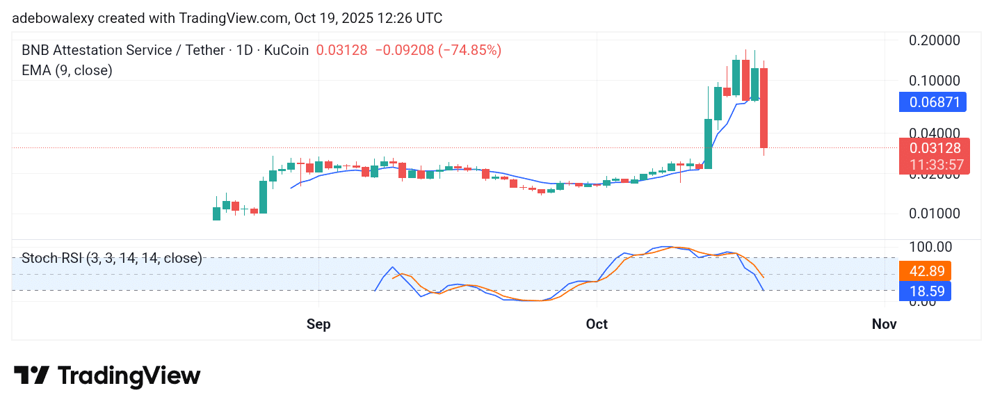 Trending Coins for October 19, 2025: QUQ, BAS, CDL, NUMI, and MYX