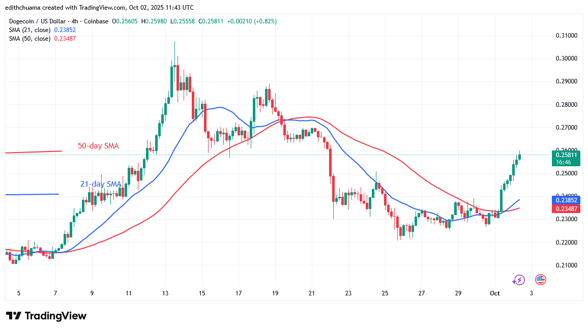 DOGE Rallies but Halts Below the $0.26 Barrier