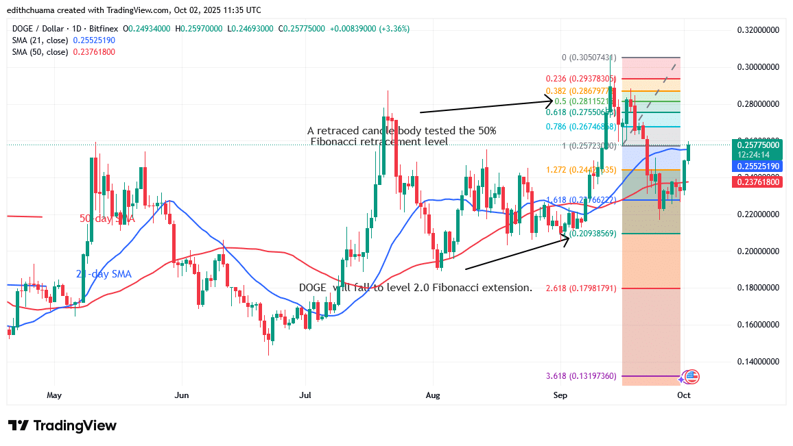 DOGE Rallies but Halts Below the $0.26 Barrier