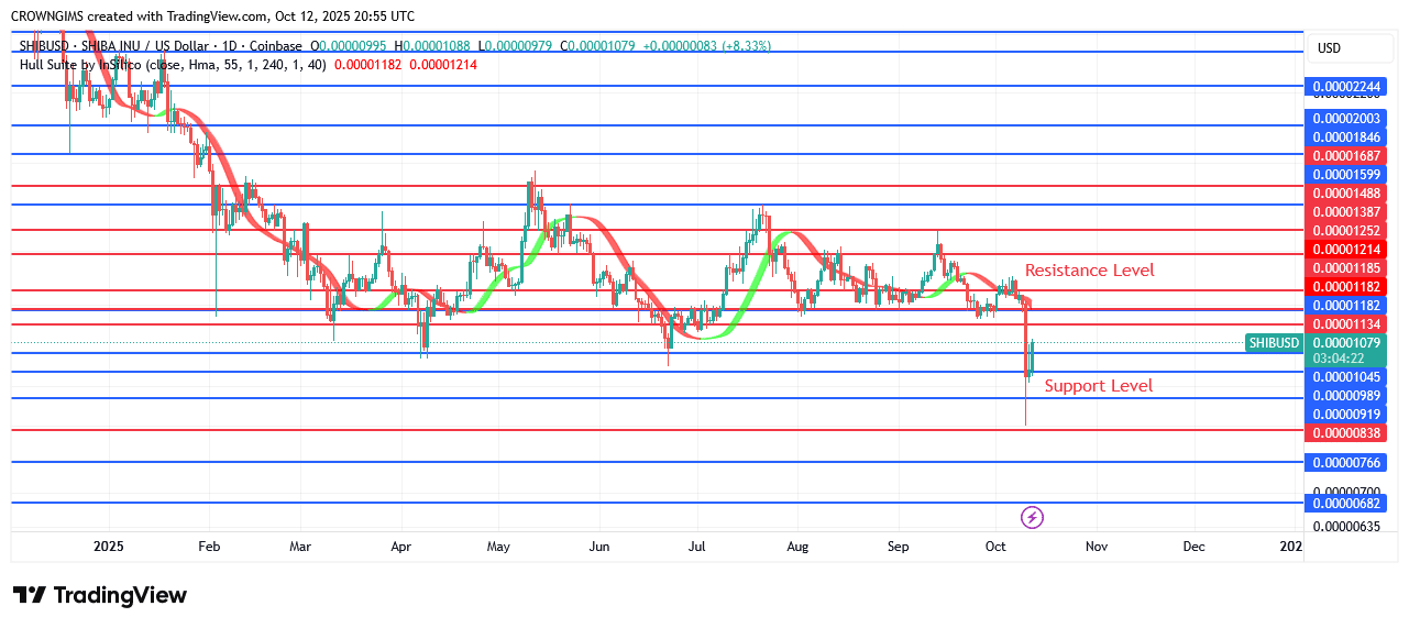 Shiba Inu (SHIB) Price Declines Sharply