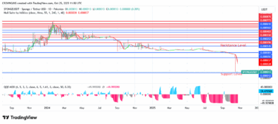 Sponge Price Is Rising as Investors’ Pressure Increases