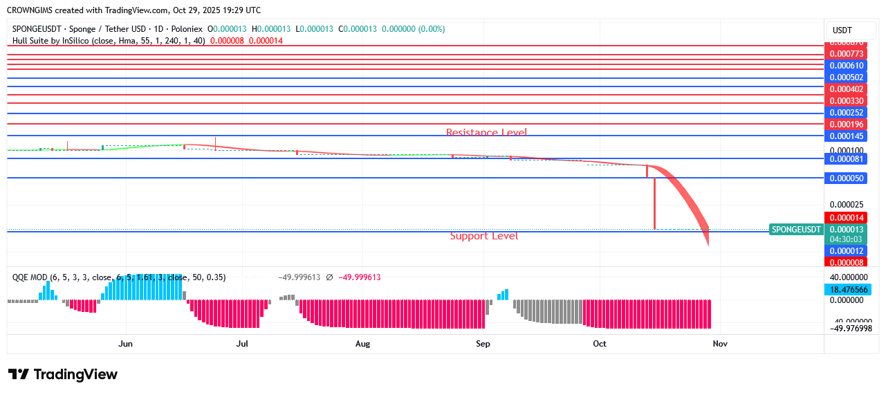 Sponge Price: Purchasers Are More Excited