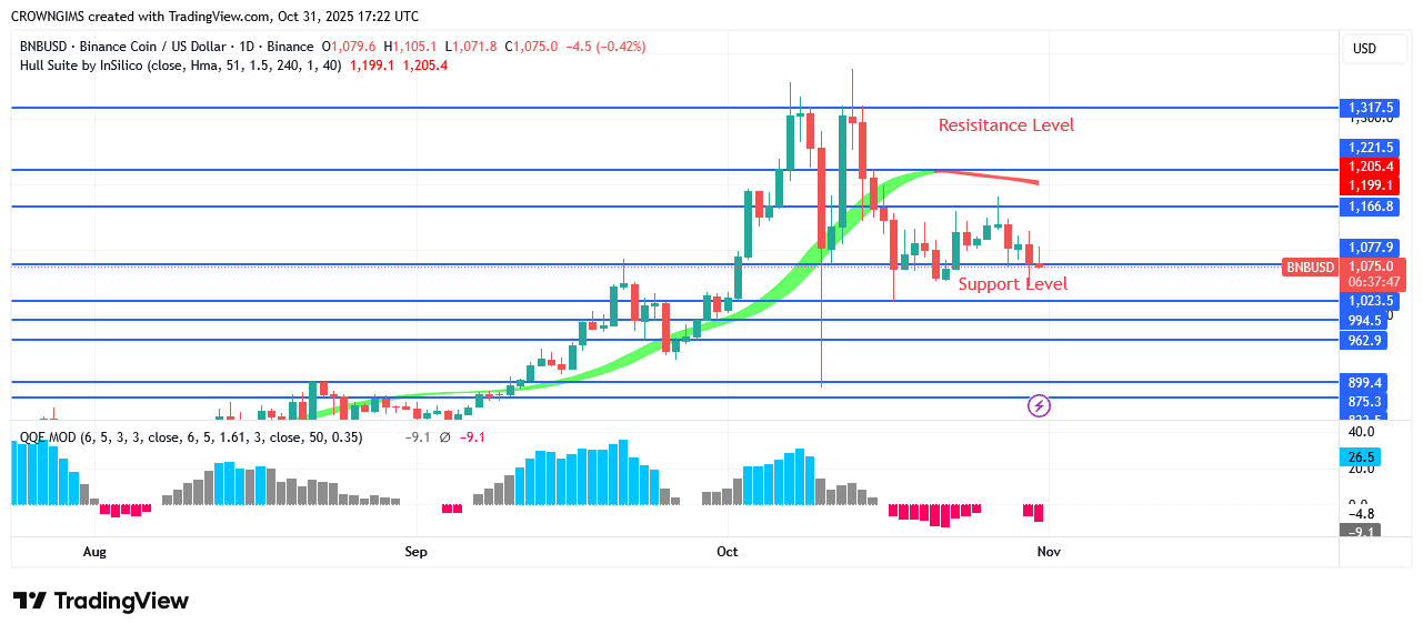 BNB (BNBUSD) Price Mya Retest Previous Low at 23.5