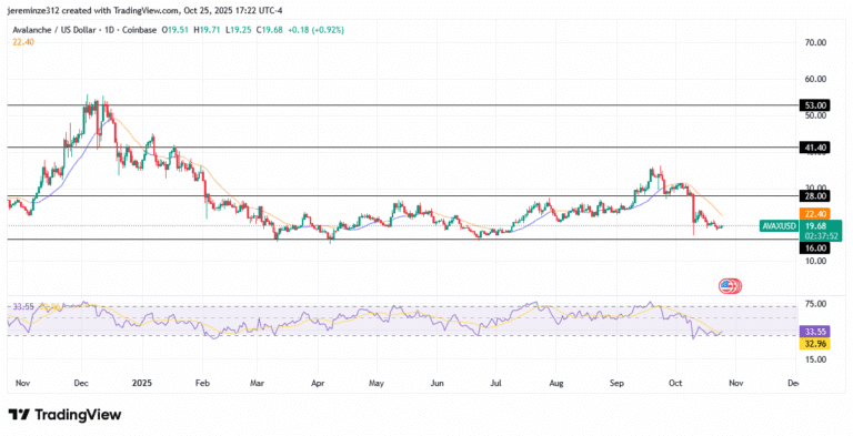 ‎Avalanche Shows Early Signs of Recovery Amid Oversold Conditions