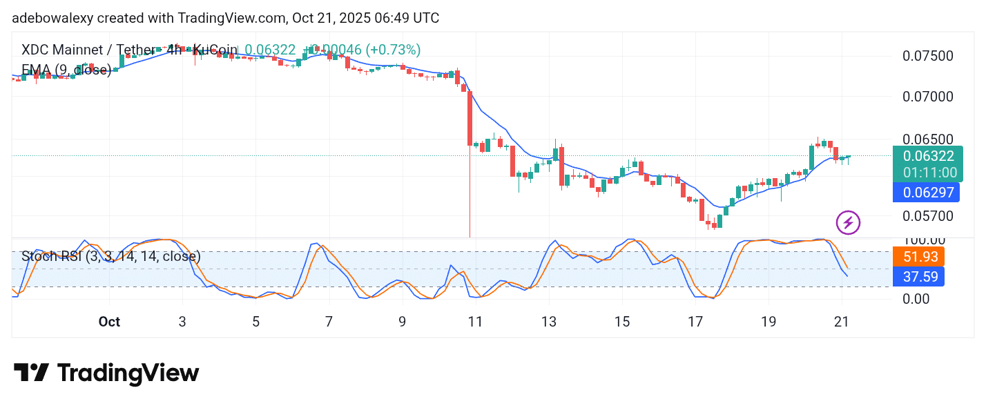 XDC Network (XDC) Clinches Minimal Gains Above Critical Levels
