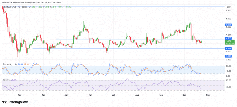 Bitget Bulls Build Momentum for Breakout Rally