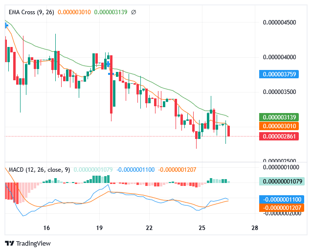 Sponge Price: More Bullish Candles Emerge