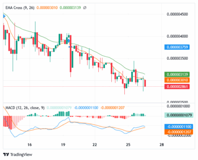 Sponge Price: More Bullish Candles Emerge