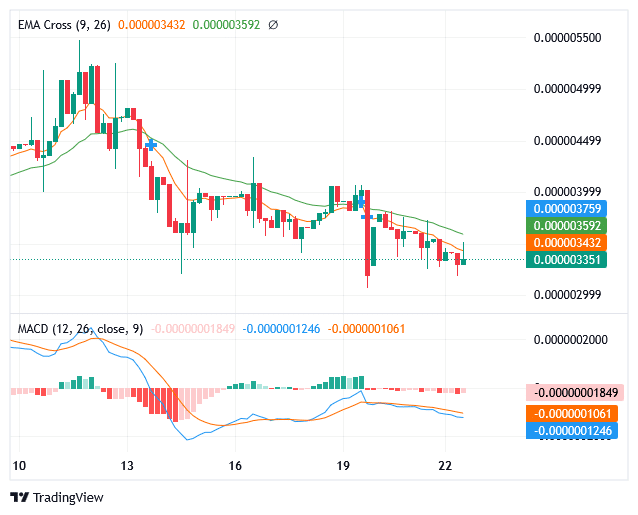 Sponge Market Is Performing Well
