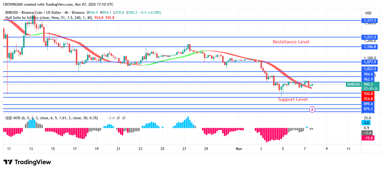 BNB (BNBUSD) Price Is Targeting Low at 9.4