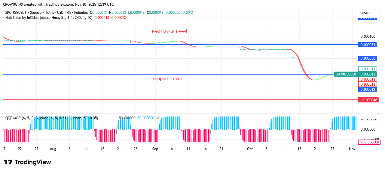 Sponge Price Increases According to Consumers’ Demand