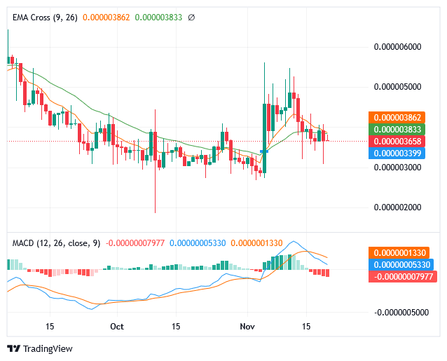 Sponge Price May Increase to $0.000196 Level