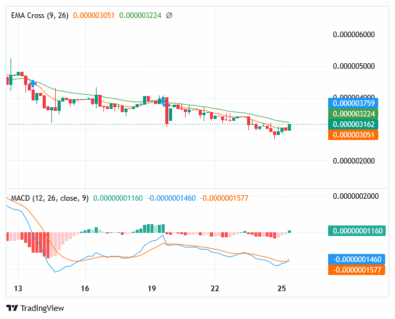 Sponge Price Is Driving Up by Consumers’ Demand
