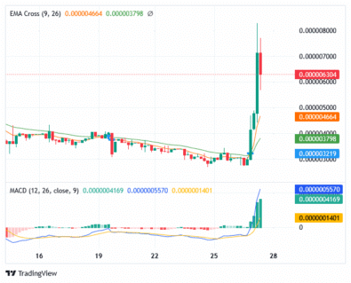 Sponge Price: Buyers Are Applying Further Pressure.