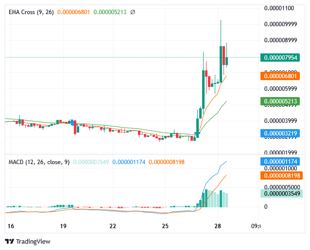 Sponge Market Is Showing a Positive Trend