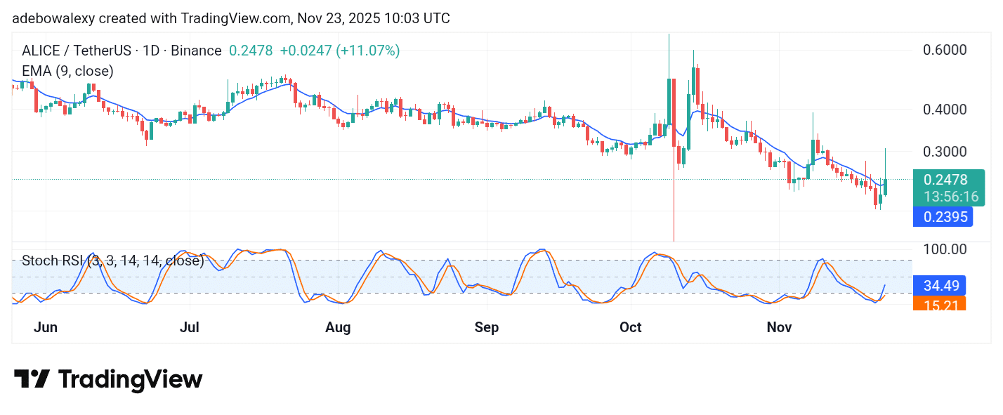 Trending Coins for November 23, 2025: PORT3, PIPPIN, MAV, ALICE, and CTC