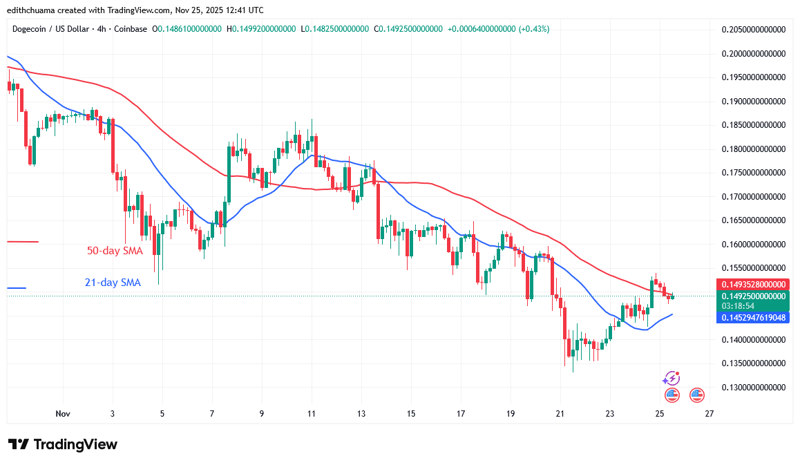 DOGE Struggles to Stay Above the $0.135 Low