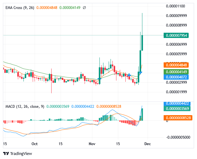 Sponge Market Is Showing a Positive Trend