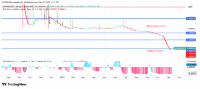 Sponge Price Increases According to Consumers’ Demand