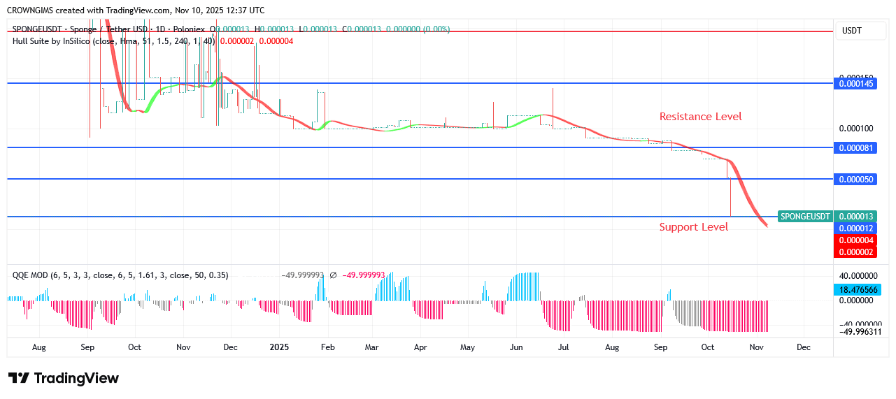 Sponge Price Increases According to Consumers’ Demand