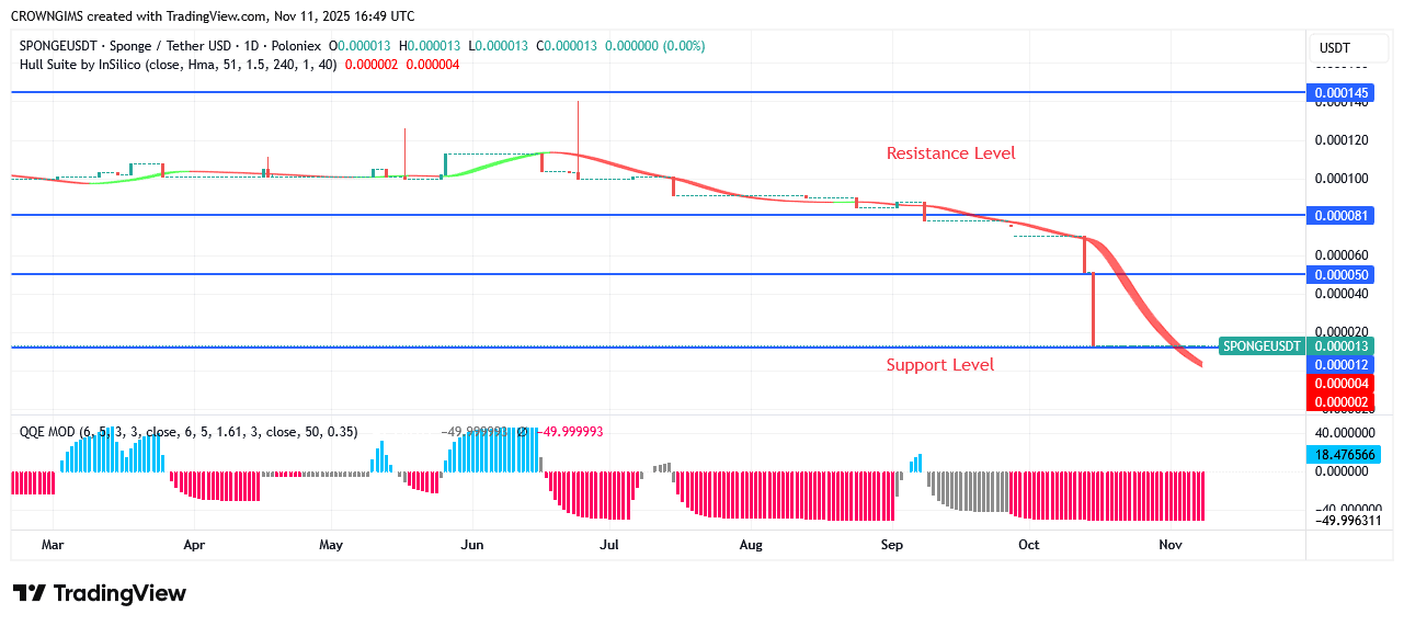 Sponge Price: Bullish Candles Increase Daily