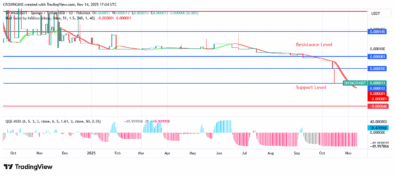 Sponge Price Shows a Positive Strength