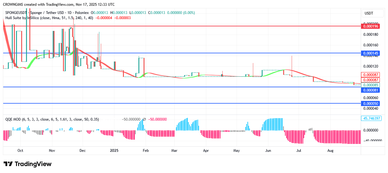 Sponge Price Soaring Up Due to Investors’ Demand