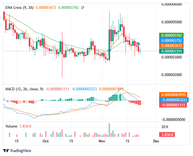 Sponge Market Is Performing Well